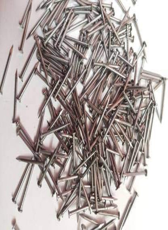 MHS Nails for Wood,Wall, Shoes, 1-inch (100 Pieces) - Image 1